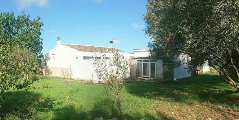 52846 Huerto